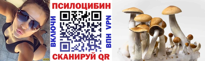 Псилоцибиновые грибы Cubensis Агидель